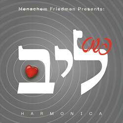 Pushit Leeb - פשוט ליב