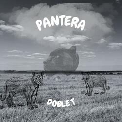 Pantera