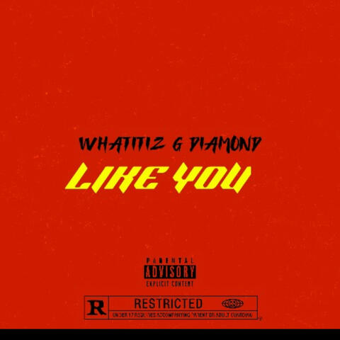 LIKE YOU (feat. G DIAMOMD)