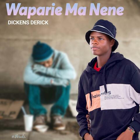 Waparie Ma Nene (Past Struggles)