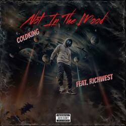 Not In The Mood (feat. Rich West)