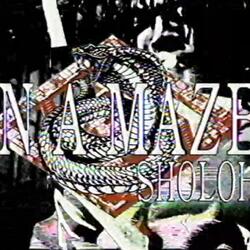 in a maze
