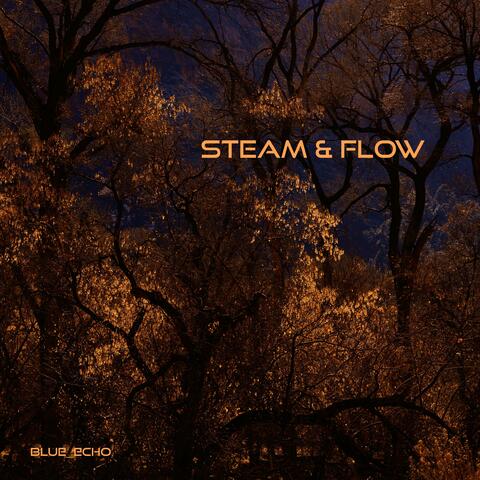 Steam & Flow