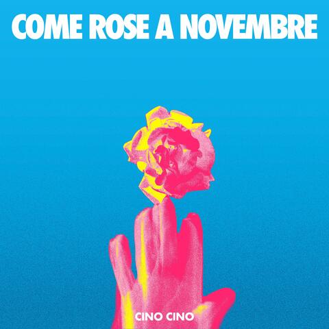 COME ROSE A NOVEMBRE