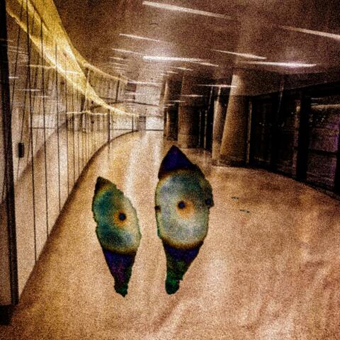 COLLAPSOLOGY / on & off