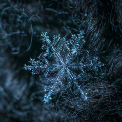 HAPPY CHRISTMAS (Radio Edit)