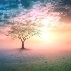 My Love Is Strong ("25" Version)