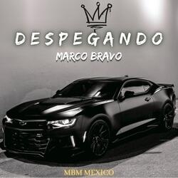 Despegando