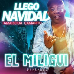 TAMARIEIDA GAMARITO.PUNTA.John Mejia