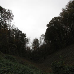 Capitalocene