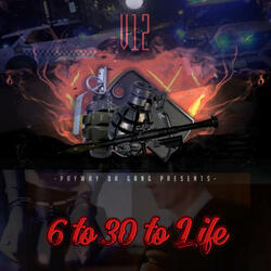 6 to 30 to Life