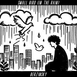 Small Bird (In the Rain)