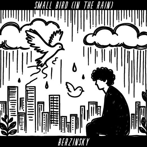 Small Bird (In the Rain)