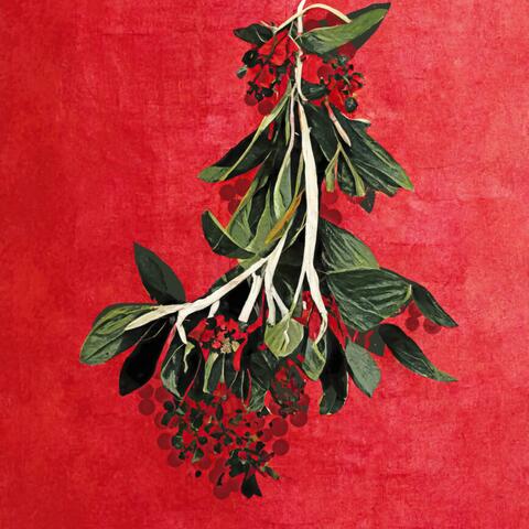 Under The Mistletoe