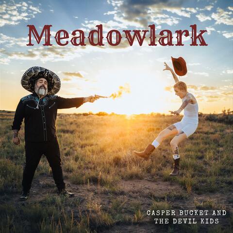 Meadowlark