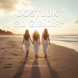 Dostluk Su Gibidir (Summer Version)