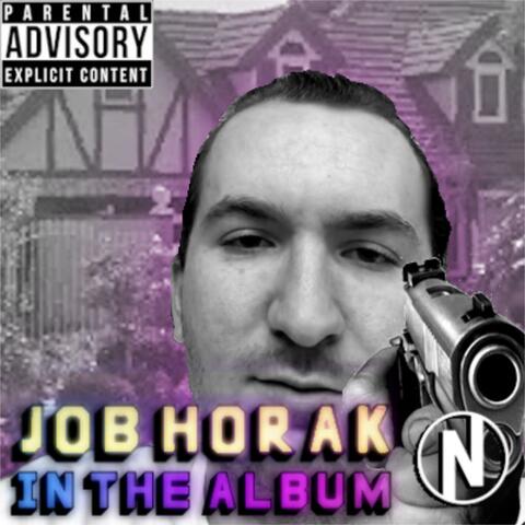 Job Horak in the Album: A 12D Auditory Journey of Self Discovery