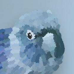 Feather