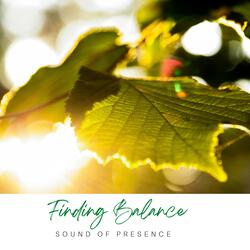 Finding Balance