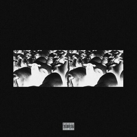 BLACK SHEEP (feat. codeM)