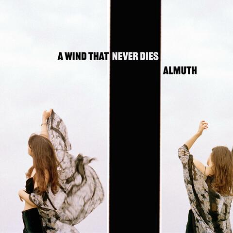 A wind that never dies