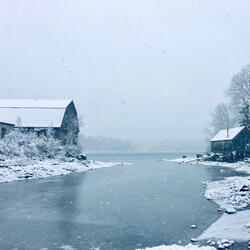Solitude Of Winter