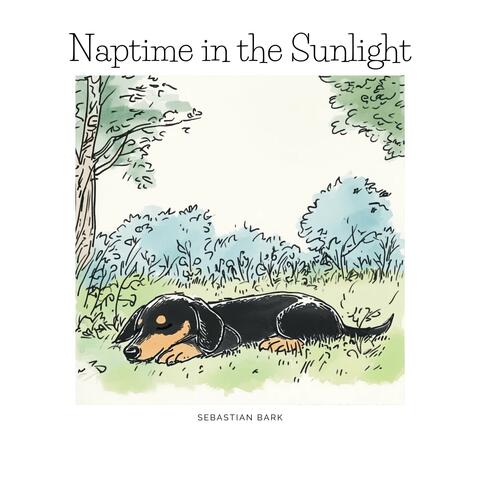 Naptime in the Sunlight