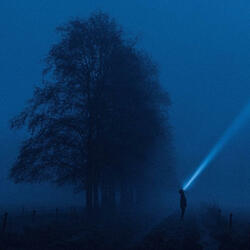 nightwatcher (slowed)