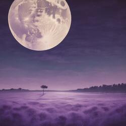 The Starlight Breeze, Pt. 2