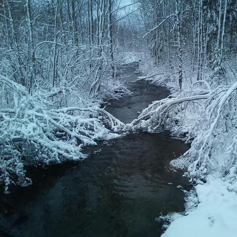 Christmas in the county