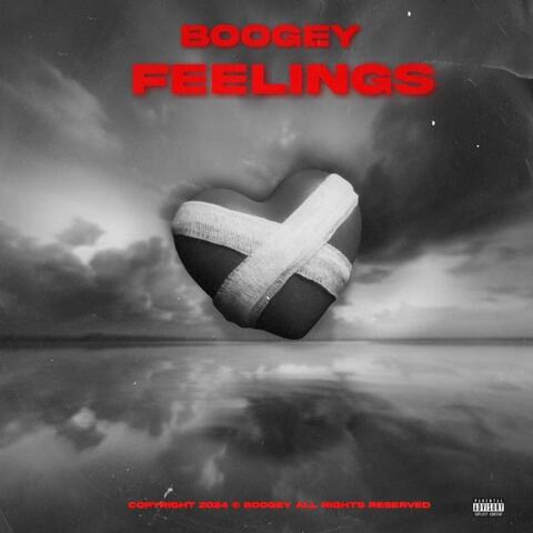 Feelings