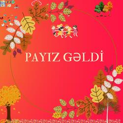 Payız gəldi