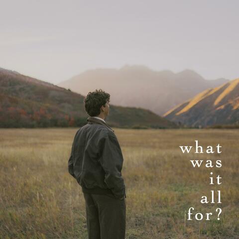 what was it all for