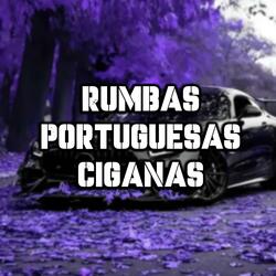Rumba Portuguésa  Dj Hernández Dj Bryan Con Salero