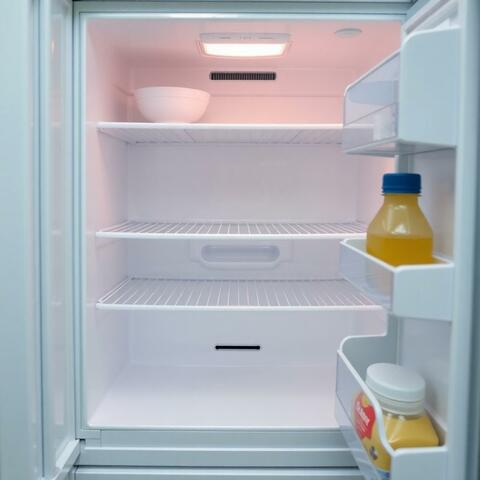 empty fridge