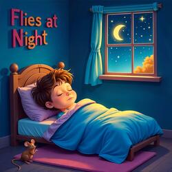 Flies at Night