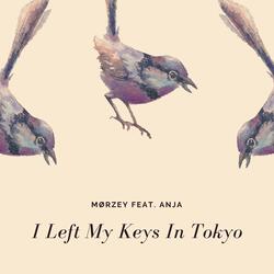 I Left My Keys In Tokyo (feat. Anja)