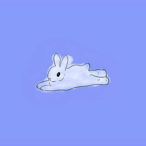 All The Bunnies In The World