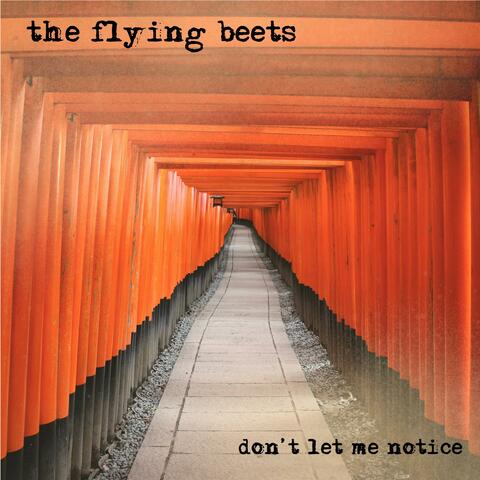 Don't Let Me Notice