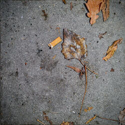 Hou me vast (feat. Kjeld J)