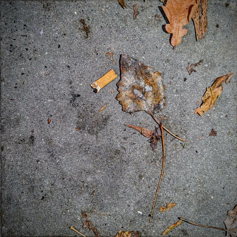 Hou me vast (feat. Kjeld J)