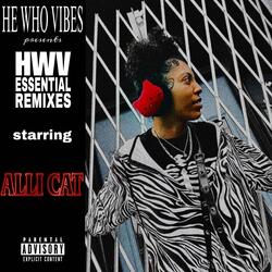 Baby (HWV Remix)