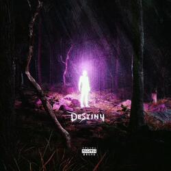 Destiny (feat. thorrill)