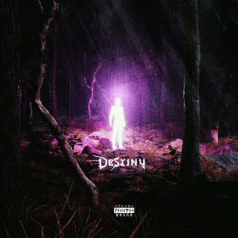 Destiny (feat. thorrill)