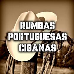 Rumba Portuguésa 2 Dj Loren Dj Bryan Con Salero