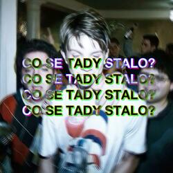 CO SE TADY STALO?
