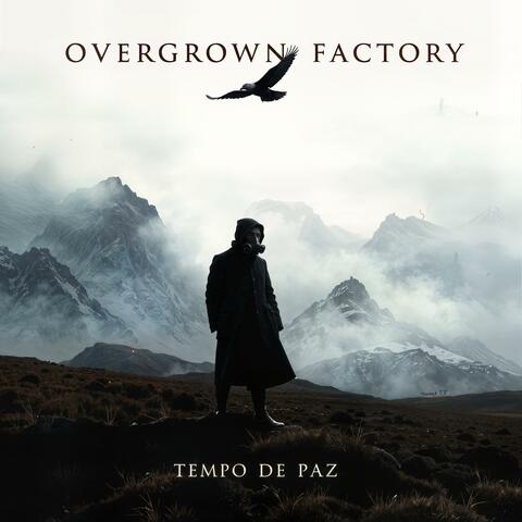 Tempo de Paz