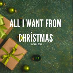 All I Want From Christmas