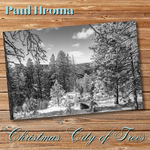 Christmas City of Trees