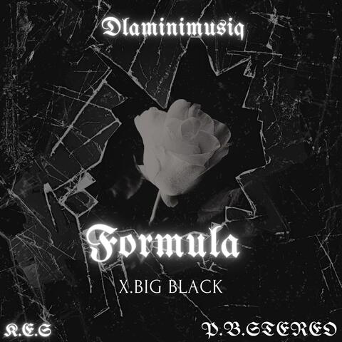 Formula (feat. Big Black)